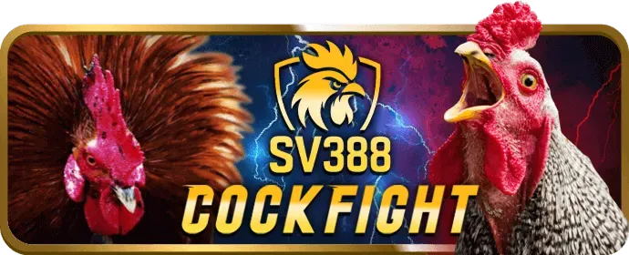 Hướng dẫn chơi nổ hũ và bắn cá 555win
